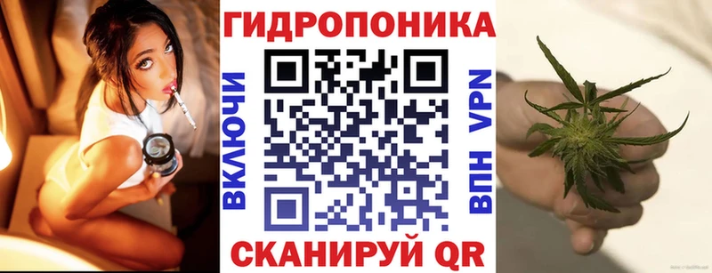 Где можно купить наркотики Инза Амфетамин  ГАШИШ  СОЛЬ 