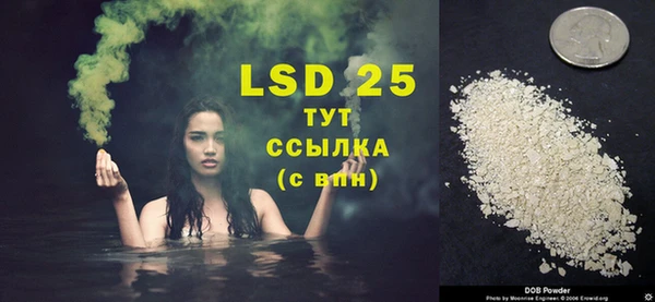 МДПВ Ельня