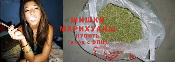 МДПВ Ельня