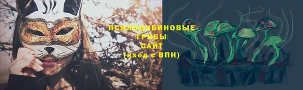 прущие крисы Гатчина