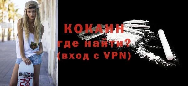 МДПВ Ельня