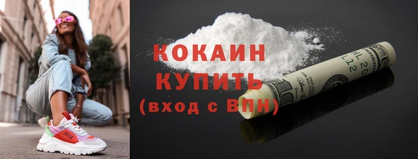 МДПВ Ельня