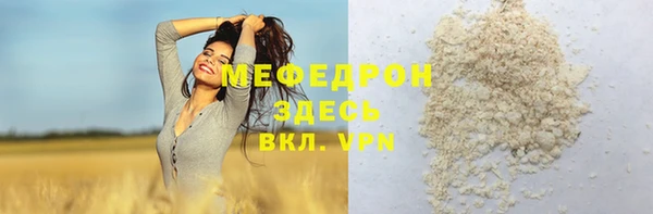 МДПВ Ельня