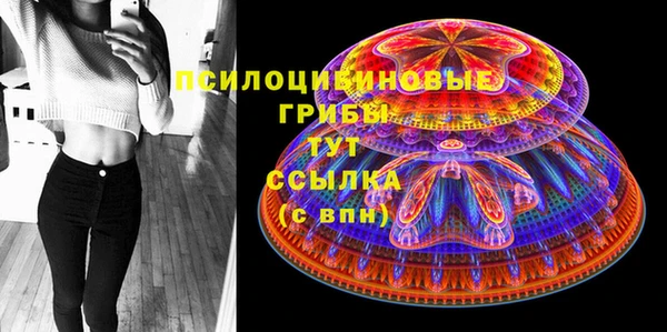 МДПВ Ельня