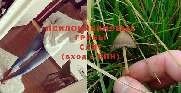 МДПВ Ельня