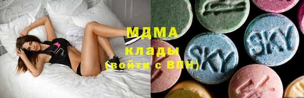 МДПВ Ельня
